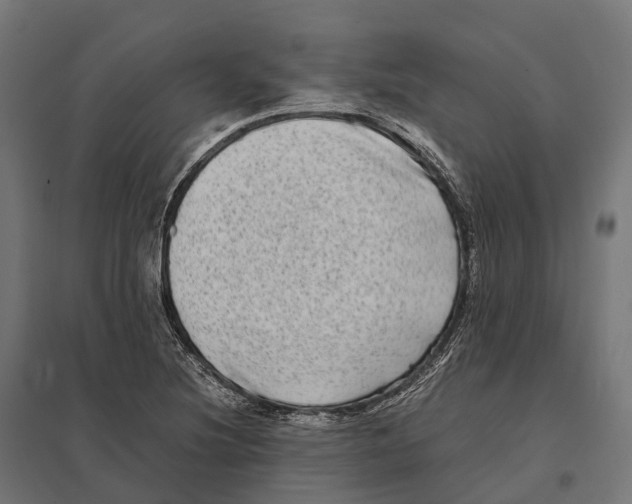 X0000097641220200803281116