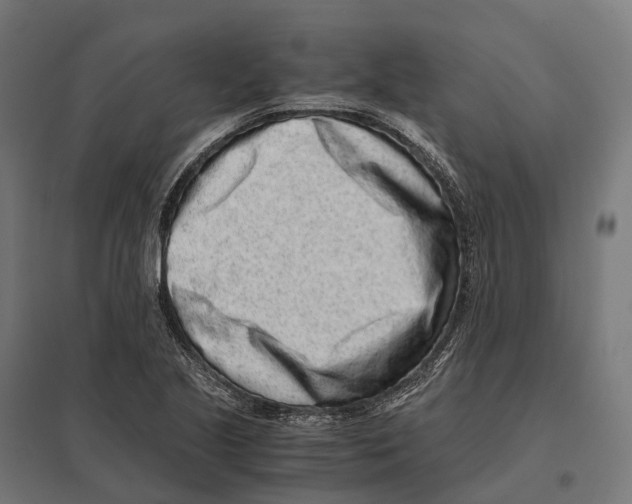 X0000097641221200803281116