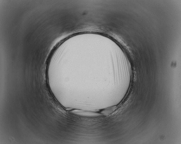 X0000097641222200803281116