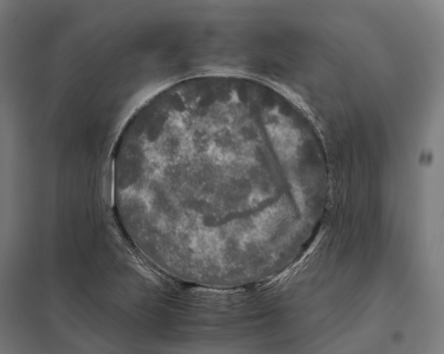 X0000097641223200803281116