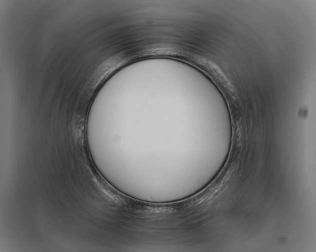 X0000097641225200803281116