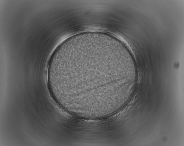 X0000097641227200803281116