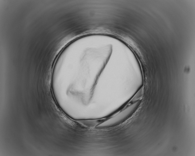 X0000097641228200803281116