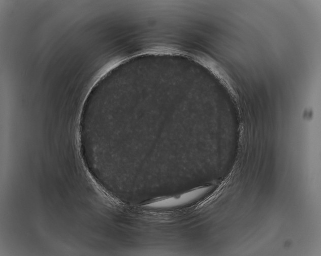 X0000097641229200803281116