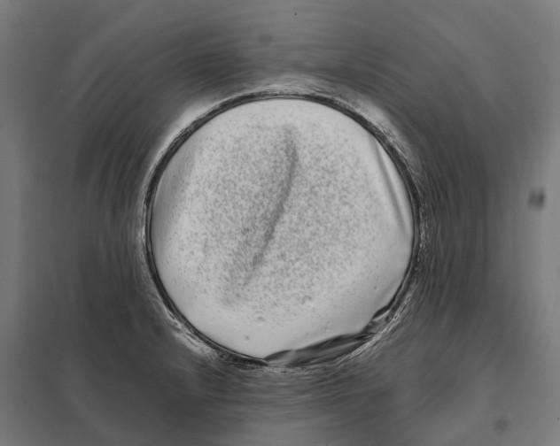 X0000097641232200803281116