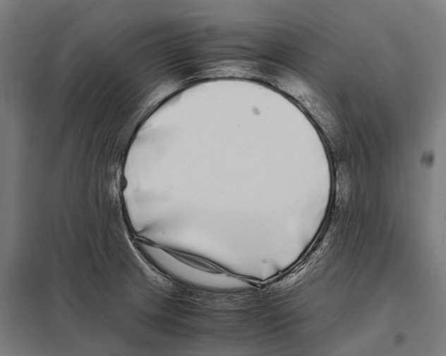 X0000097641233200803281116