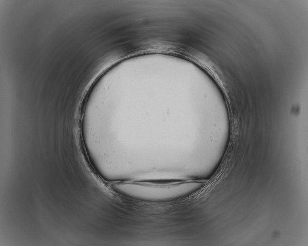 X0000097641235200803281116