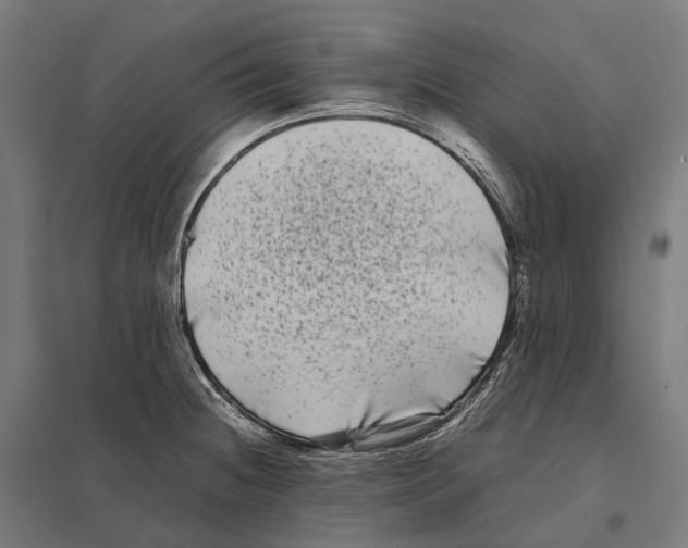 X0000097641236200803281116