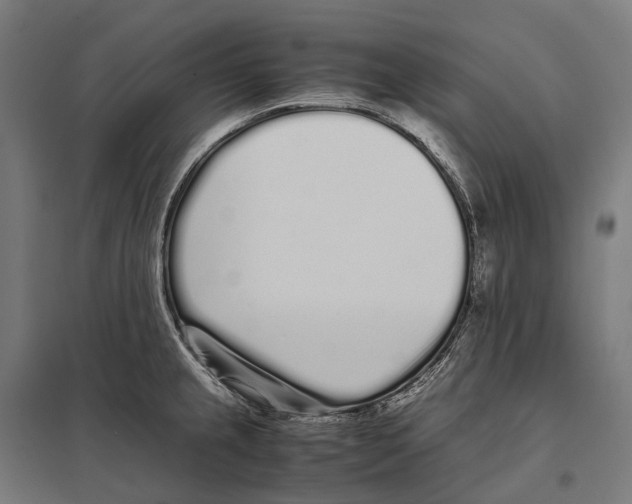 X0000097641237200803281116