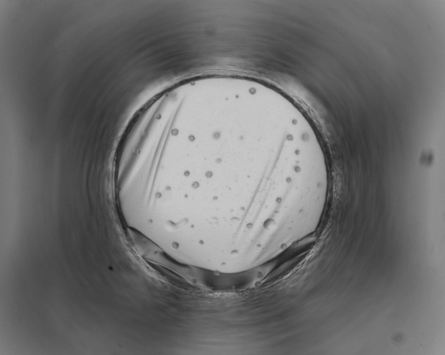 X0000097641238200803281116