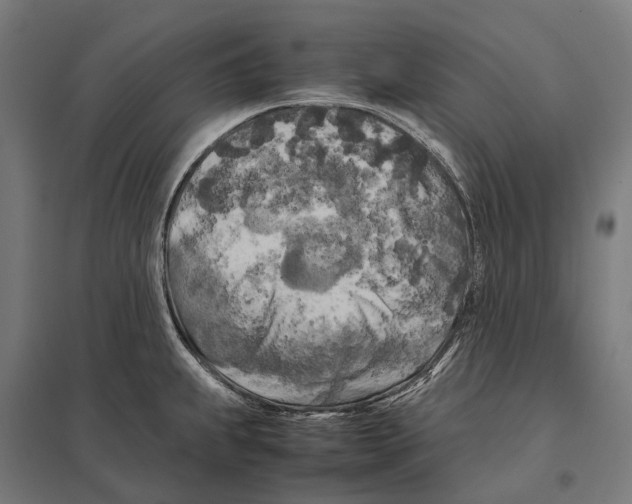 X0000097641239200803281116