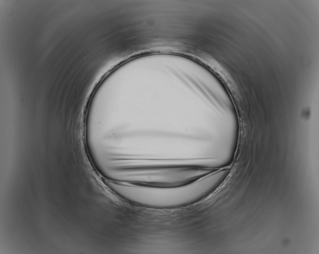 X0000097641240200803281116