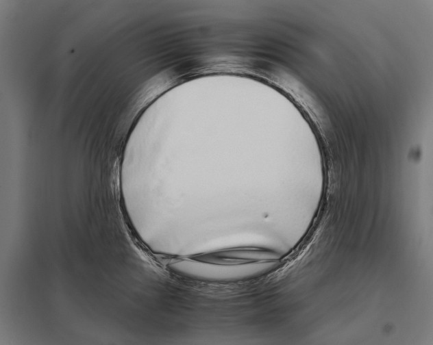 X0000097641241200803281116