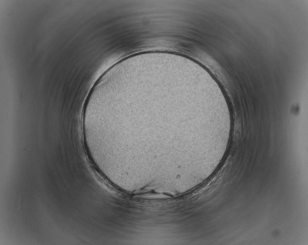 X0000097641242200803281116