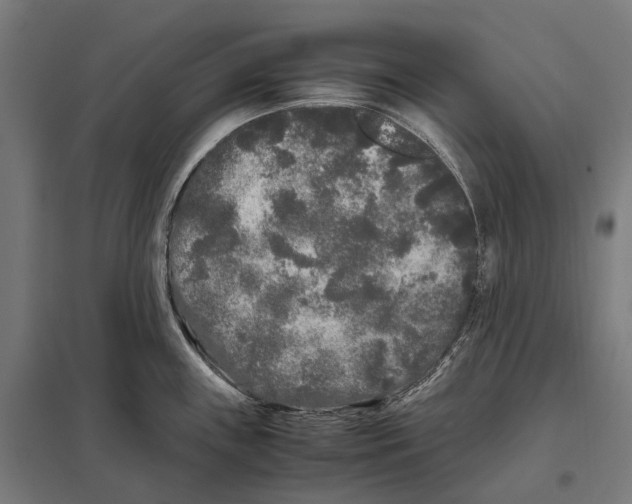 X0000097641243200803281116