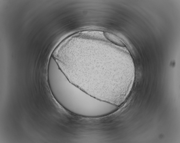 X0000097641244200803281116