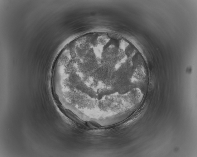 X0000097641245200803281116