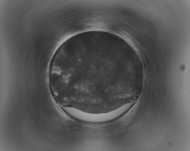 X0000097641246200803281116