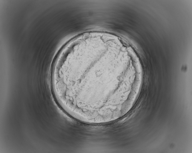 X0000097641247200803281116