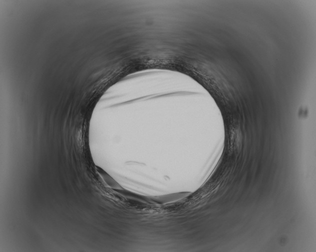 X0000097641250200803281115