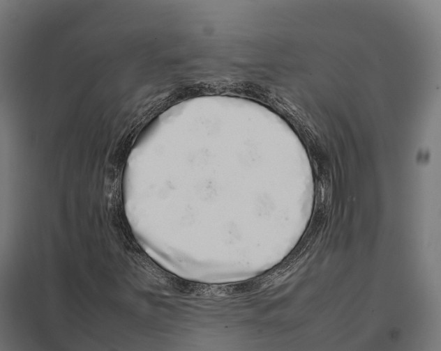 X0000097641251200803281115