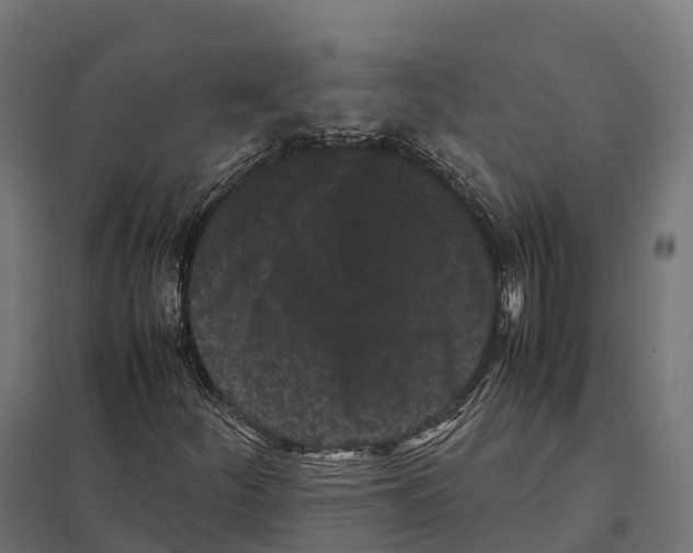 X0000097641252200803281115