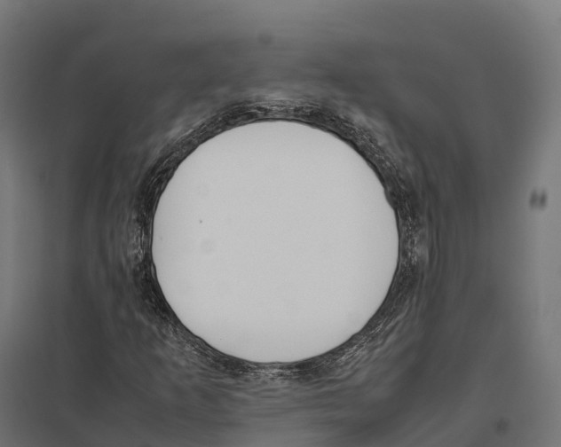 X0000097641253200803281115