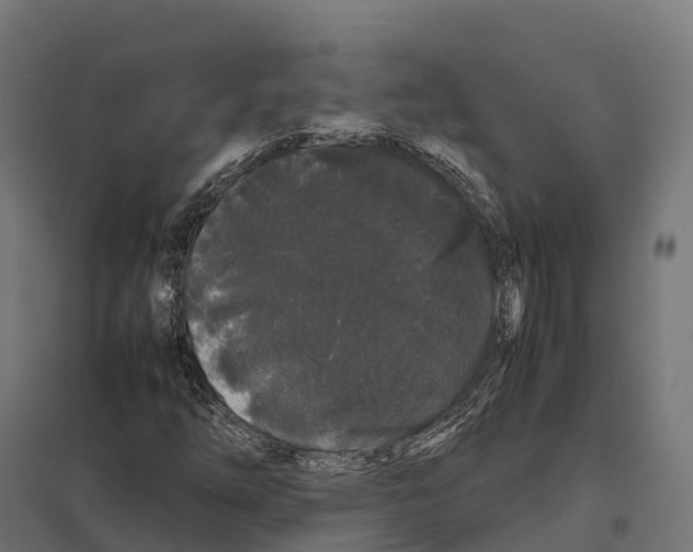 X0000097641254200803281115