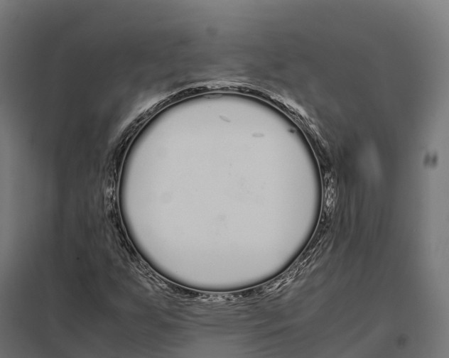 X0000097641255200803281115