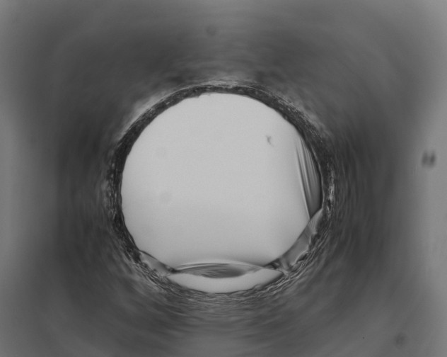 X0000097641256200803281115