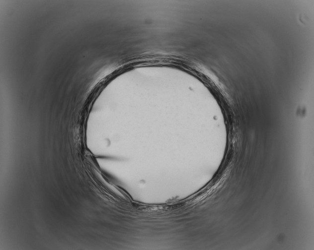 X0000097641259200803281115