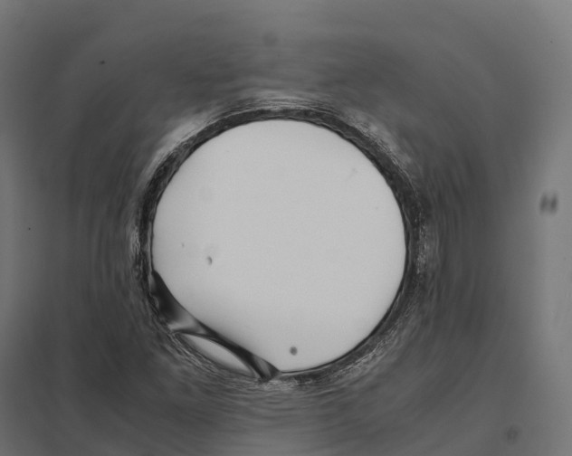 X0000097641261200803281115