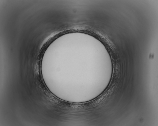 X0000097641262200803281115