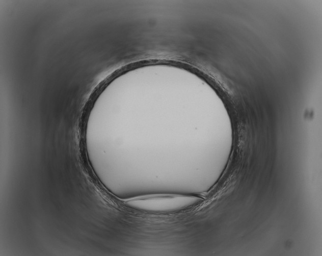 X0000097641264200803281115