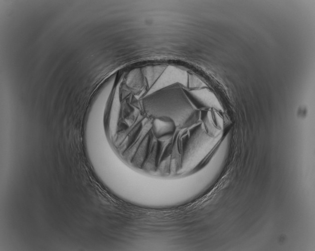 X0000097641265200803281115