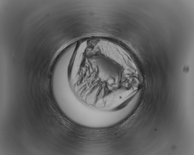 X0000097641266200803281115