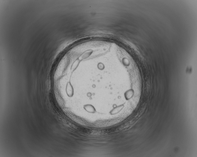 X0000097641267200803281115