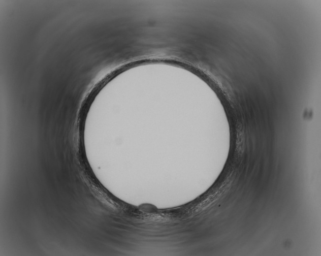 X0000097641270200803281115