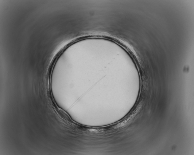 X0000097641271200803281115