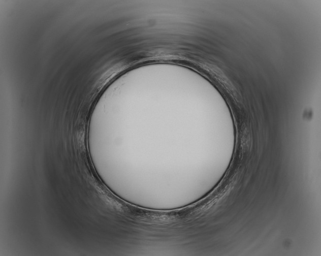 X0000097641273200803281115