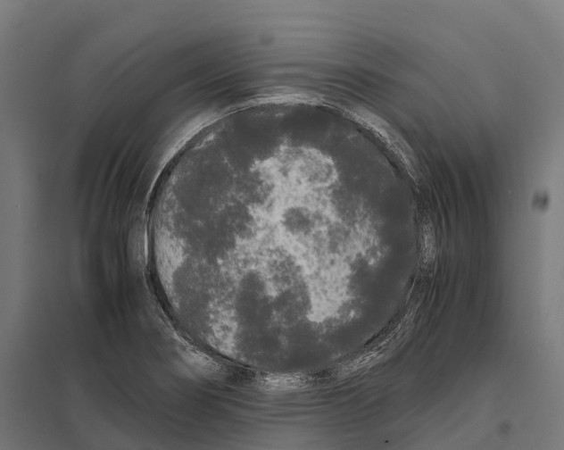 X0000097641274200803281115