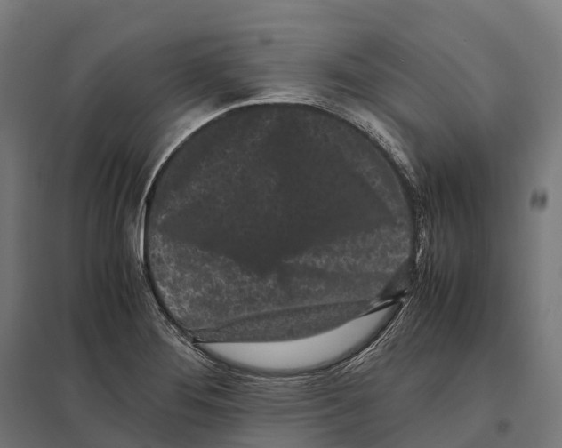 X0000097641276200803281115