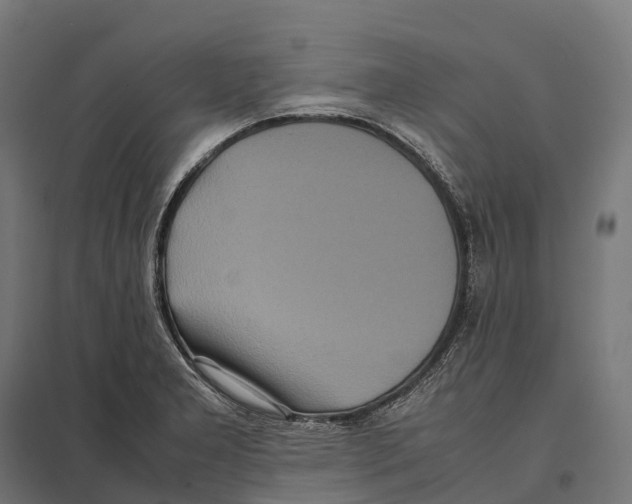 X0000097641277200803281115