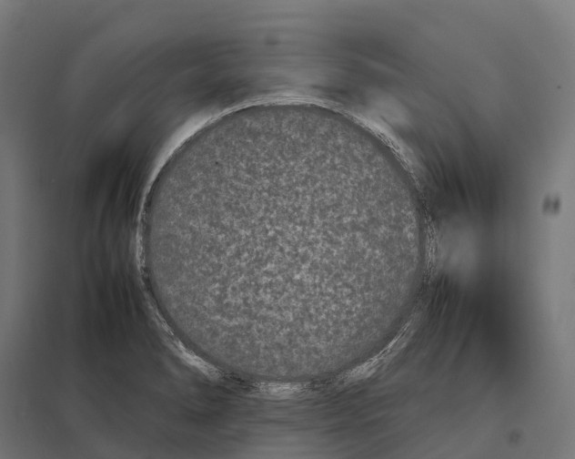 X0000097641278200803281115