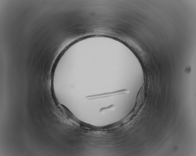 X0000097641280200803281115