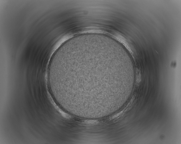 X0000097641282200803281115