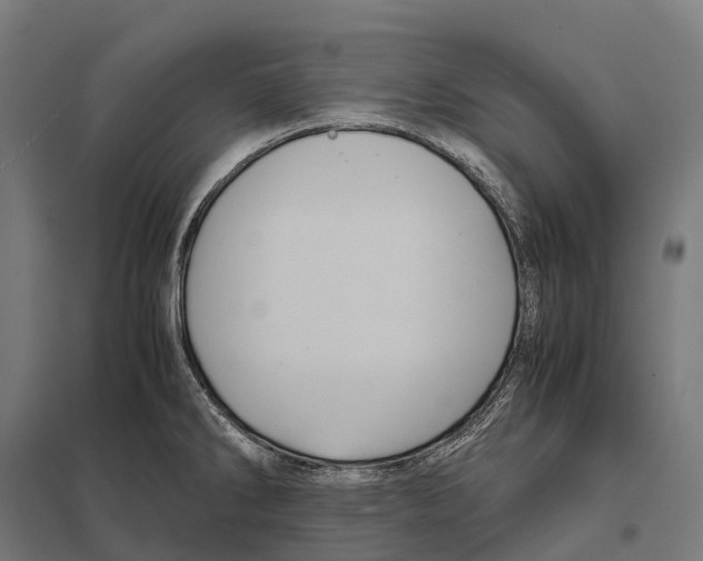 X0000097641286200803281115