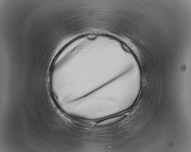 X0000097641287200803281115