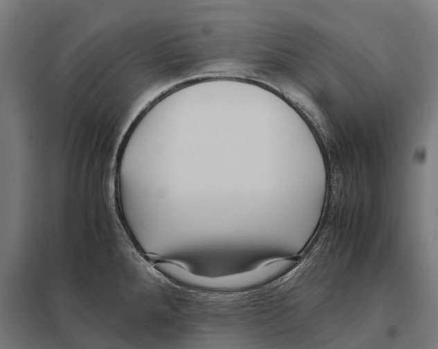 X0000097641288200803281115