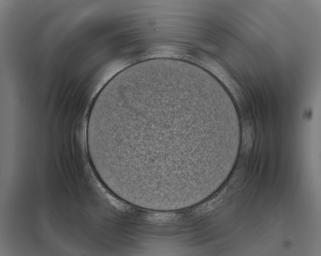 X0000097641290200803281115